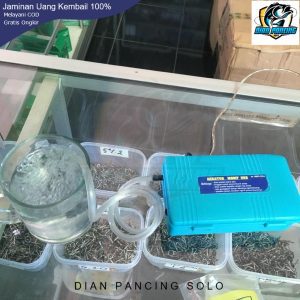 Aerator Untuk memberikan udara di kolam/aquascape ikan