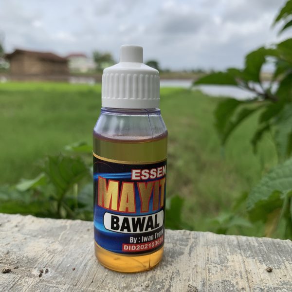 Essen Mayit Umpan Mancing Ikan Nila Jaer Ikan Mas Tombro Patin Lele Bawal  Asli Iwan Tegek - Gambar 7