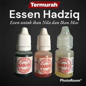 Essen Hadziq Buat Mancing Ikan Nila Jaer dan Ikan Mas Lele Atau Tombro