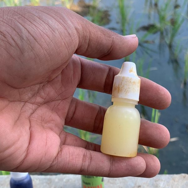 Umpan Ikan Essen DHA aroma Amis Berbahan Dasar Lemak Cocok Buat Campuran Pelet Untuk Mancing - Gambar 2