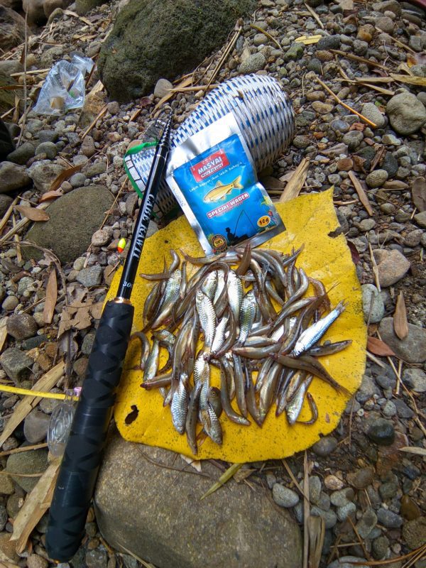 Umpan Siap Pakai Masyai 30gr Buat Ikan Wader atau Cakul Uceng dan Putihan - Gambar 3