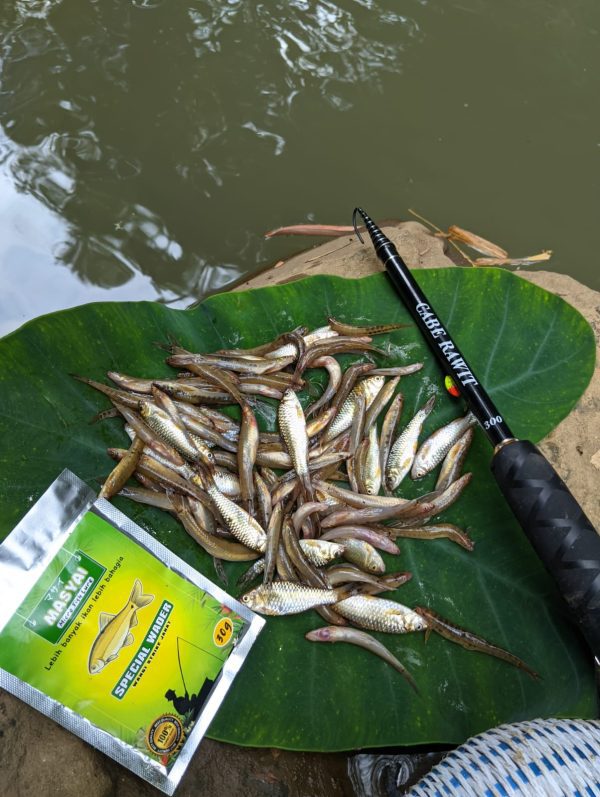 Umpan Siap Pakai Masyai 30gr Buat Ikan Wader atau Cakul Uceng dan Putihan - Gambar 4