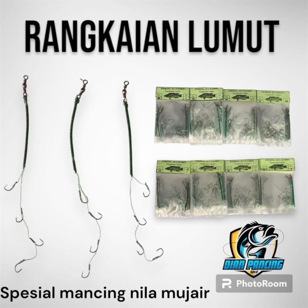 Rangkaian Lumut 4 kail dalam satu ikatan Pancing