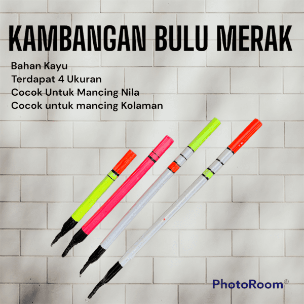 Kambangan Bulu Merak Cocok Untuk Memancing Ikan
