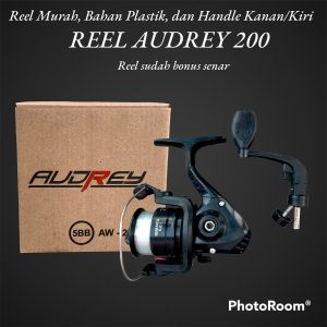 Reel Pancing Spinnning AUDREY 200 normal handle