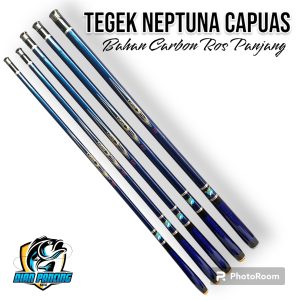 Joran Pancing Tegek Neptuna Kapuas Ros Panjang Carbon Lentur