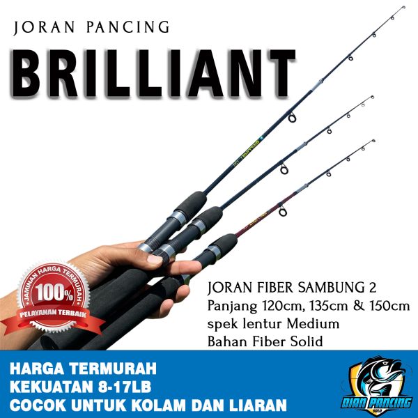 Joran NEPTUNA BRILLIANT | 8-17LB | Solid Fiber