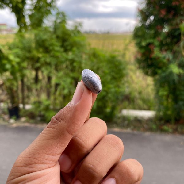 Timah Pancing Melinjo A 10 harga satuan berat 10gram untuk pemberat alat pancing - Gambar 6