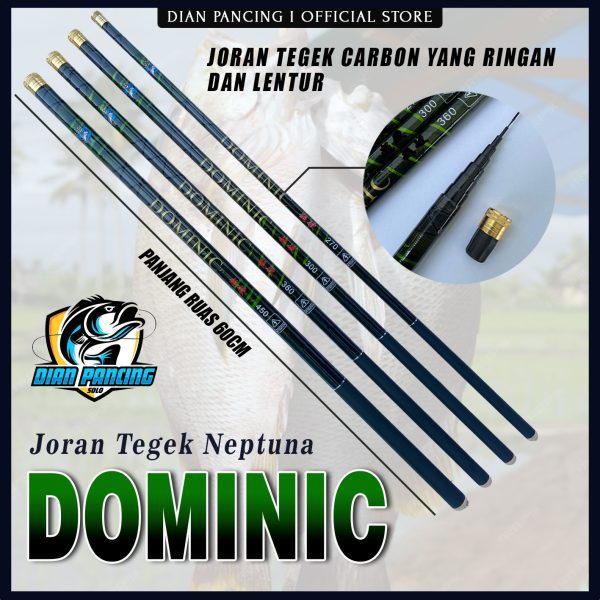 TEGEK NEPTUNA DOMINIC